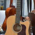 walden-electro-acoustique-folk-guitare